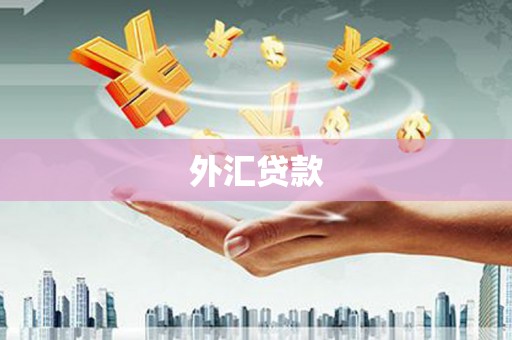 钦北外汇贷款
