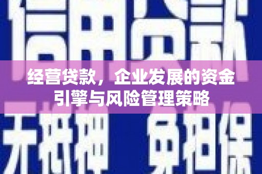钦北经营贷款，企业发展的资金引擎与风险管理策略