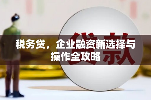 钦北税务贷，企业融资新选择与操作全攻略
