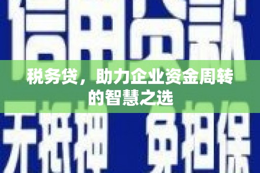 钦北税务贷，助力企业资金周转的智慧之选