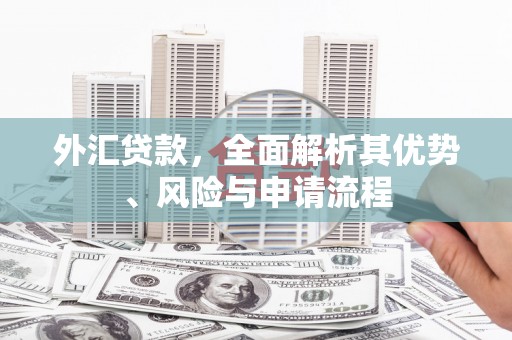钦北外汇贷款，全面解析其优势、风险与申请流程