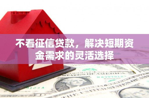 钦北不看征信贷款，解决短期资金需求的灵活选择