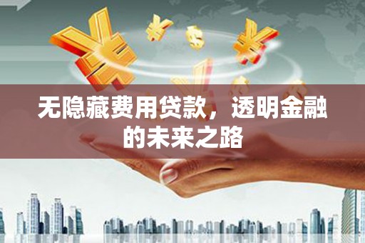 钦北无隐藏费用贷款，透明金融的未来之路