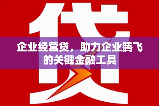 钦北企业经营贷，助力企业腾飞的关键金融工具