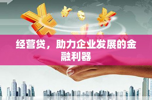 钦北经营贷，助力企业发展的金融利器