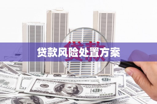 钦北贷款风险处置方案