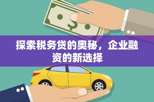 钦北探索税务贷的奥秘，企业融资的新选择