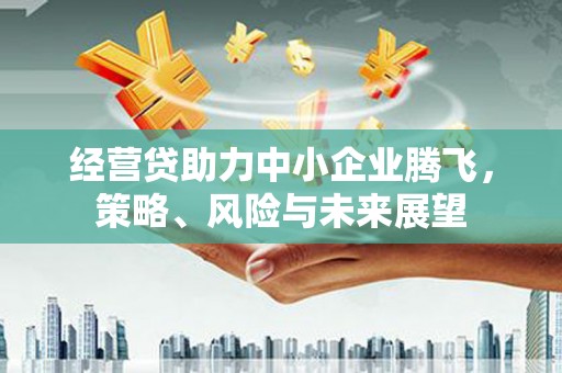 钦北经营贷助力中小企业腾飞，策略、风险与未来展望