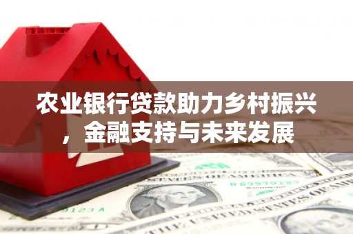 钦北农业银行贷款助力乡村振兴，金融支持与未来发展