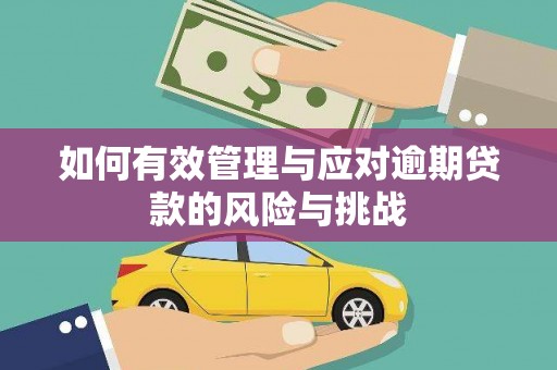 钦北如何有效管理与应对逾期贷款的风险与挑战