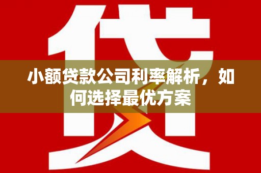 钦北小额贷款公司利率解析，如何选择最优方案