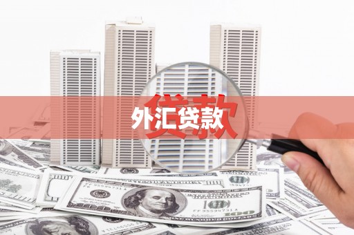 钦北外汇贷款