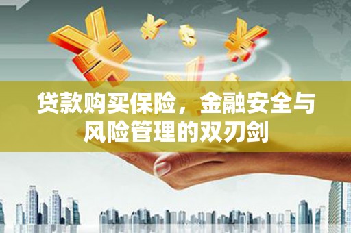 钦北贷款购买保险，金融安全与风险管理的双刃剑