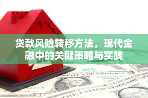 钦北贷款风险转移方法，现代金融中的关键策略与实践