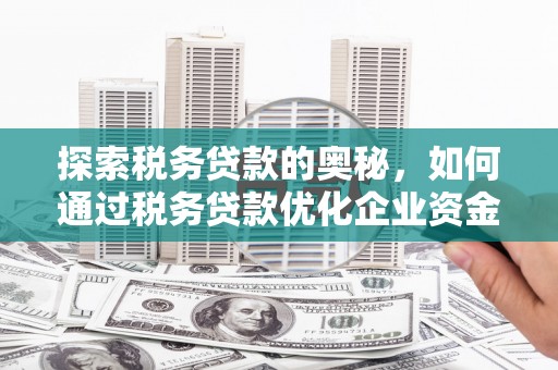 钦北探索税务贷款的奥秘，如何通过税务贷款优化企业资金流