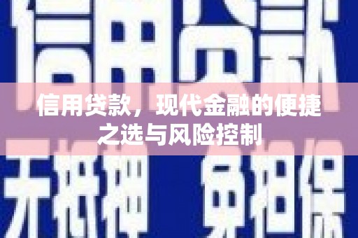 钦北信用贷款，现代金融的便捷之选与风险控制