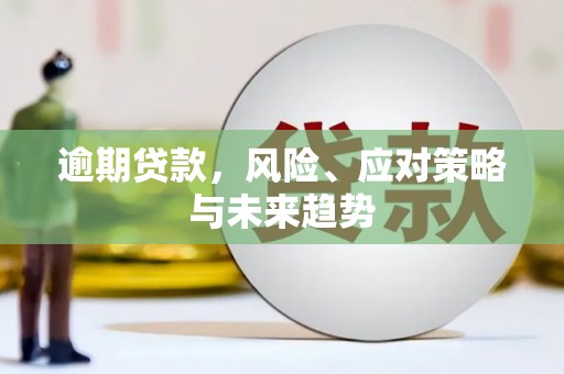钦北逾期贷款，风险、应对策略与未来趋势
