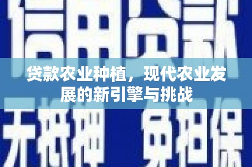 钦北贷款农业种植，现代农业发展的新引擎与挑战