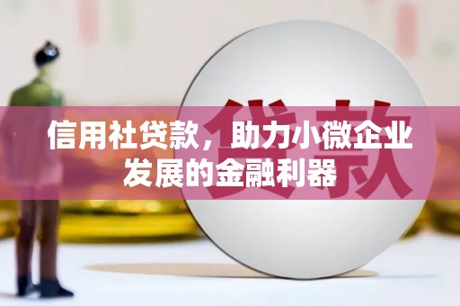 钦北信用社贷款，助力小微企业发展的金融利器