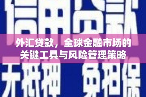 钦北外汇贷款，全球金融市场的关键工具与风险管理策略