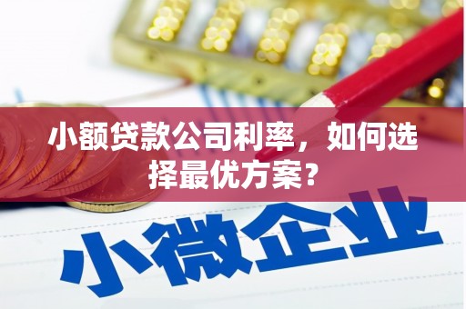 钦北小额贷款公司利率，如何选择最优方案？