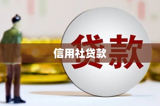 钦北信用社贷款
