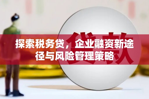 钦北探索税务贷，企业融资新途径与风险管理策略