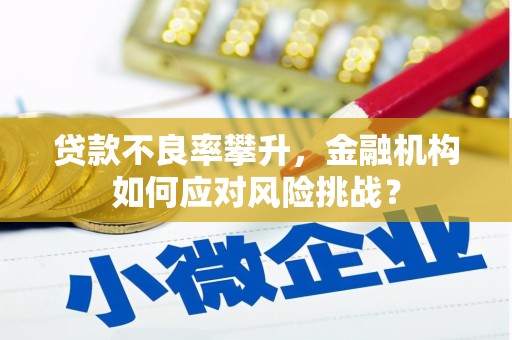 钦北贷款不良率攀升，金融机构如何应对风险挑战？