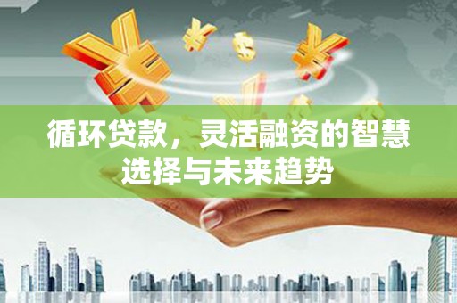 钦北循环贷款，灵活融资的智慧选择与未来趋势