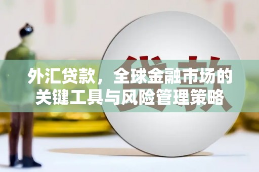 钦北外汇贷款，全球金融市场的关键工具与风险管理策略