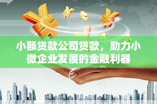 钦北小额贷款公司贷款，助力小微企业发展的金融利器