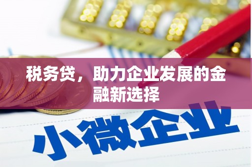 钦北税务贷，助力企业发展的金融新选择