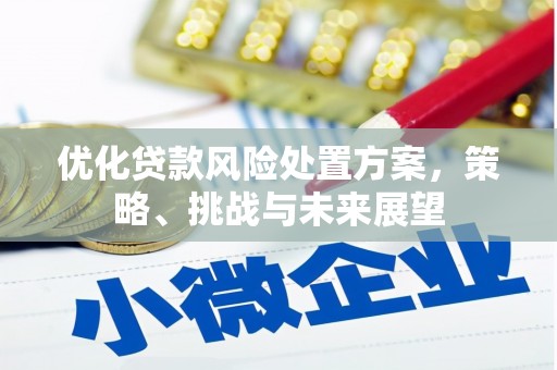 钦北优化贷款风险处置方案，策略、挑战与未来展望