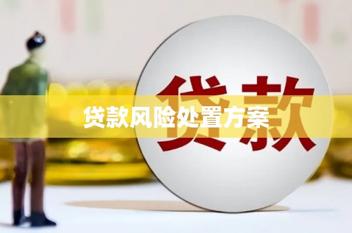 钦北贷款风险处置方案