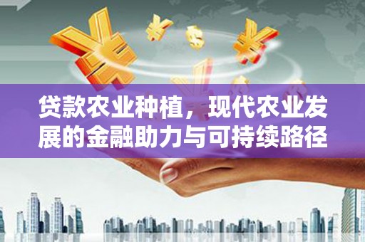 钦北贷款农业种植，现代农业发展的金融助力与可持续路径