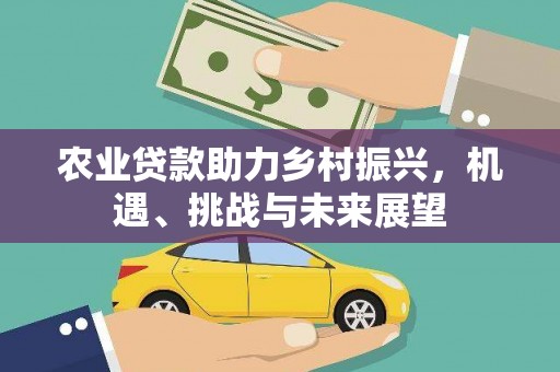钦北农业贷款助力乡村振兴，机遇、挑战与未来展望