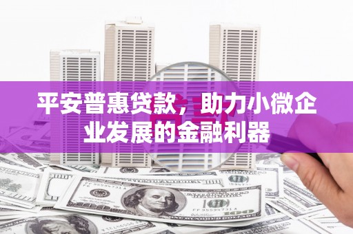 钦北平安普惠贷款，助力小微企业发展的金融利器