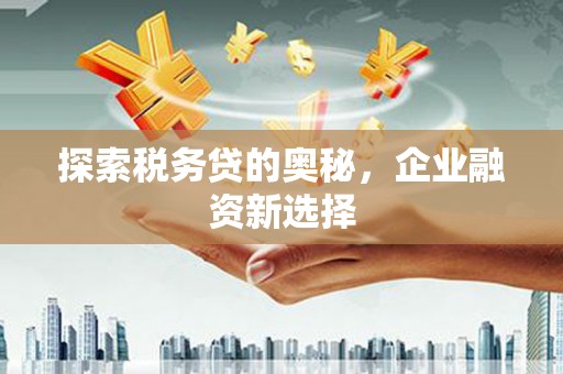 钦北探索税务贷的奥秘，企业融资新选择