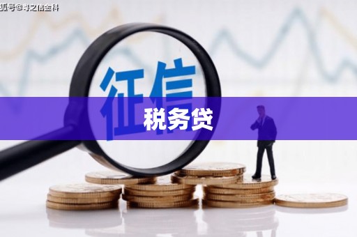 钦北税务贷