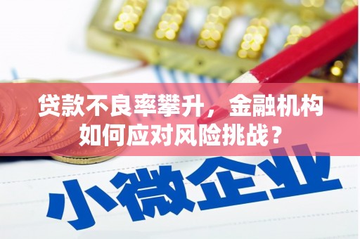 钦北贷款不良率攀升，金融机构如何应对风险挑战？