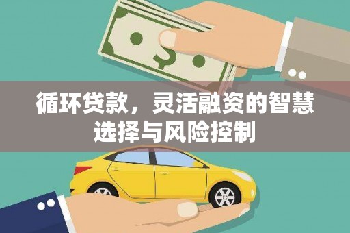 钦北循环贷款，灵活融资的智慧选择与风险控制