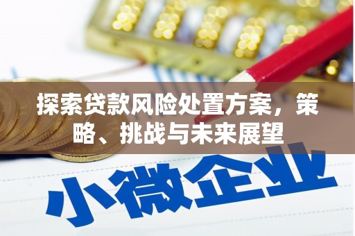 钦北探索贷款风险处置方案，策略、挑战与未来展望
