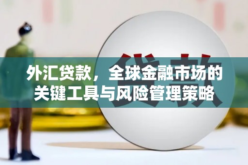 钦北外汇贷款，全球金融市场的关键工具与风险管理策略