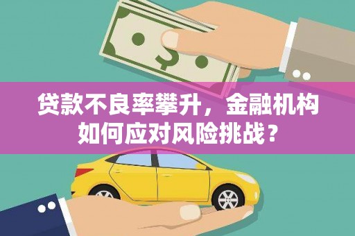 钦北贷款不良率攀升，金融机构如何应对风险挑战？