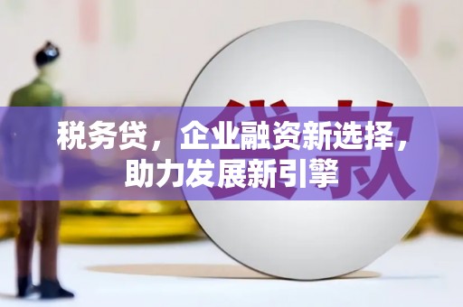 钦北税务贷，企业融资新选择，助力发展新引擎