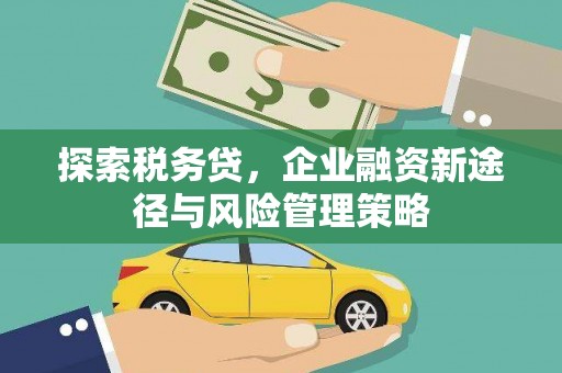 钦北探索税务贷，企业融资新途径与风险管理策略