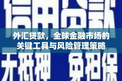 钦北外汇贷款，全球金融市场的关键工具与风险管理策略
