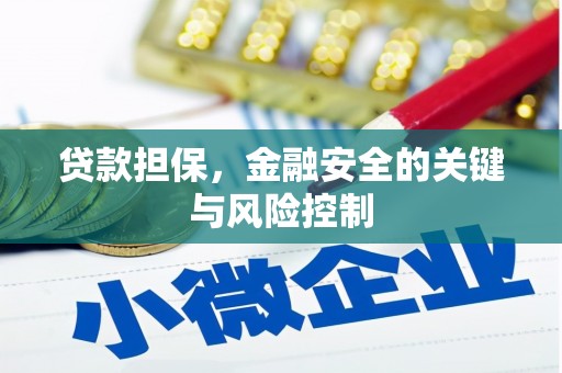 钦北贷款担保，金融安全的关键与风险控制