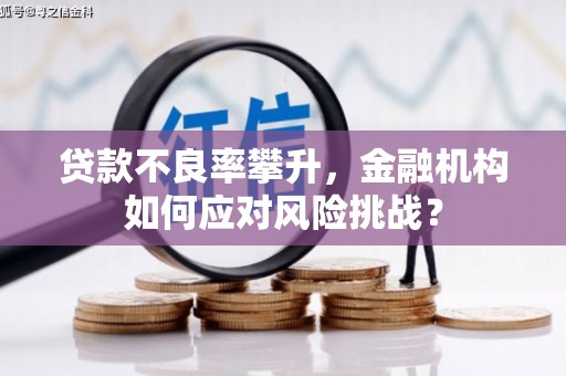 钦北贷款不良率攀升，金融机构如何应对风险挑战？