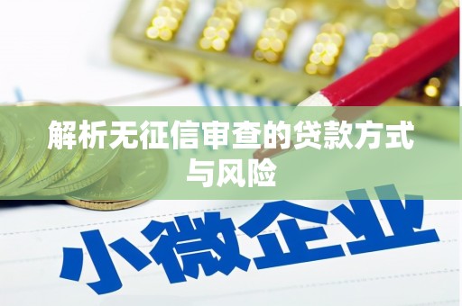 钦北解析无征信审查的贷款方式与风险